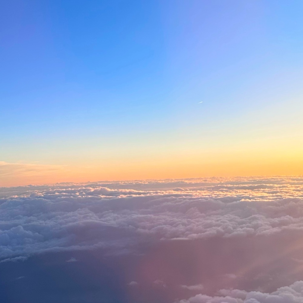 Meet your Posher, Liv